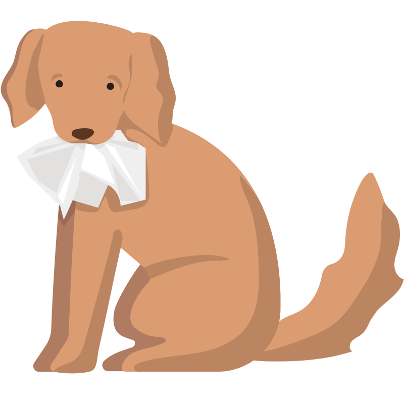 A dog ate this page image
